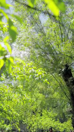 飢饉の村に花嫁がやってきた〜システムで始まる大逆転〜 episode 37