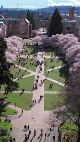 자기야, 그 남자와는 결혼하지 마 episode 1