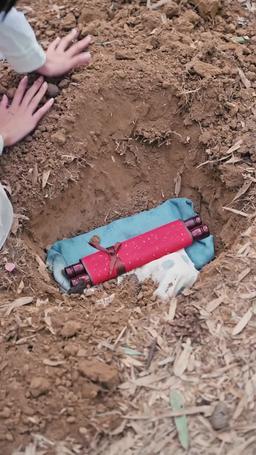 The Chancellor at My Door episode 89