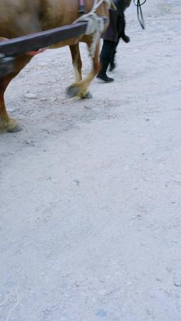 Reborn in Flames episode 54