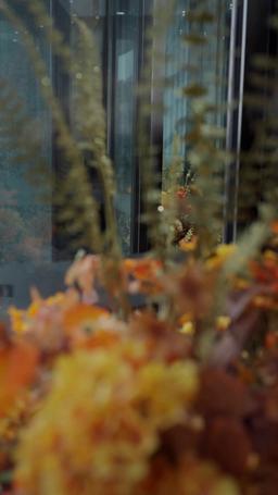 Falling for My Gold-Digger Wife episode 40