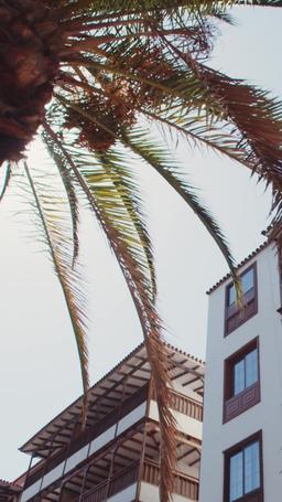 L'AD miliardario e la sua ossessione segreta episode 57