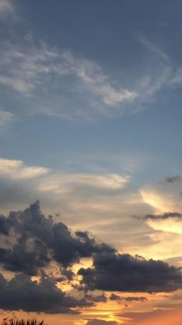 我在法庭，等妳道歉 episode 63