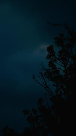 รักลับๆ ฉบับพี่ชายไม่แท้ episode 53