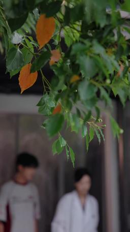 Her Caged Bird episode 5