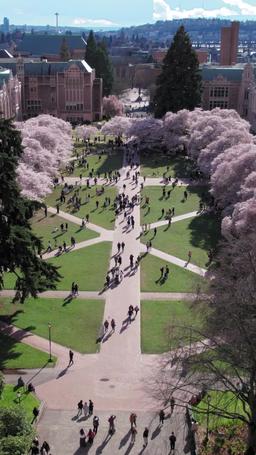 Tesoro, ti prego, non sposare lui episode 1