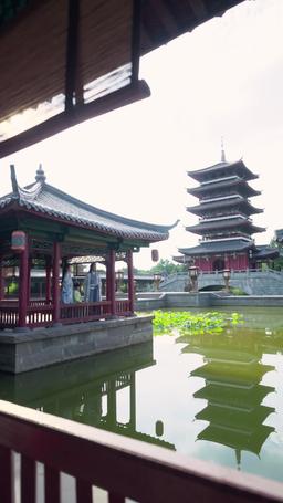 Feniks wraca do gniazda episode 78