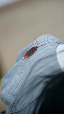 Doktor Qi twoje zagubione dziecko znów płacze episode 5