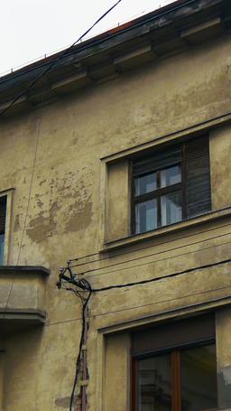 그의 세쌍둥이를 임신하고 아내까지 되었다 episode 10