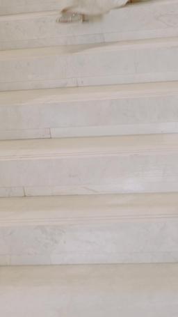 억만장자와의 초고속 결혼 episode 78