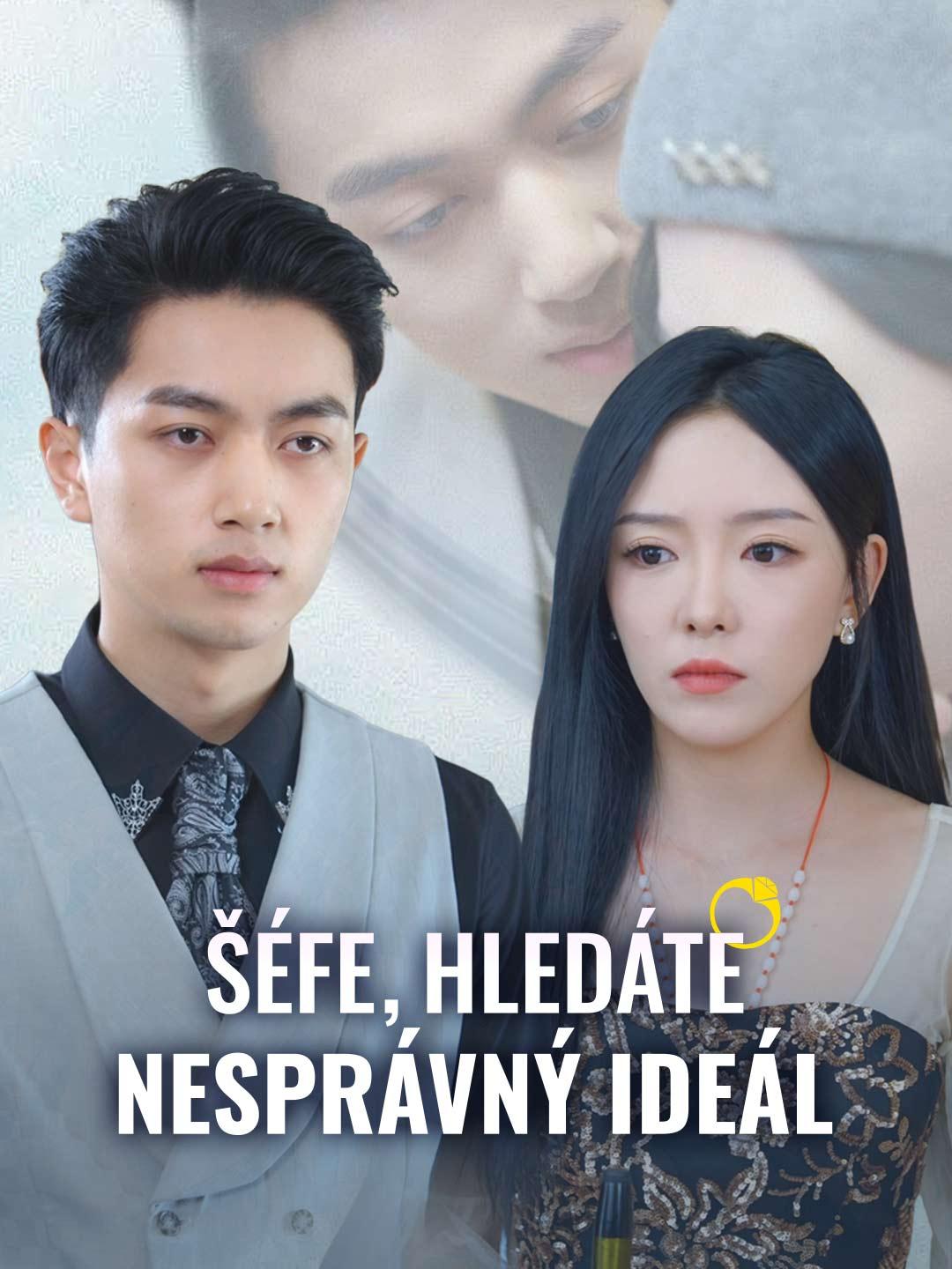 Šéfe, hledáte nesprávný ideál