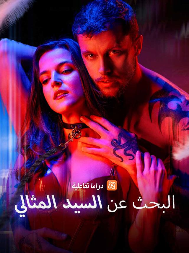 البحث عن السيد المثالي