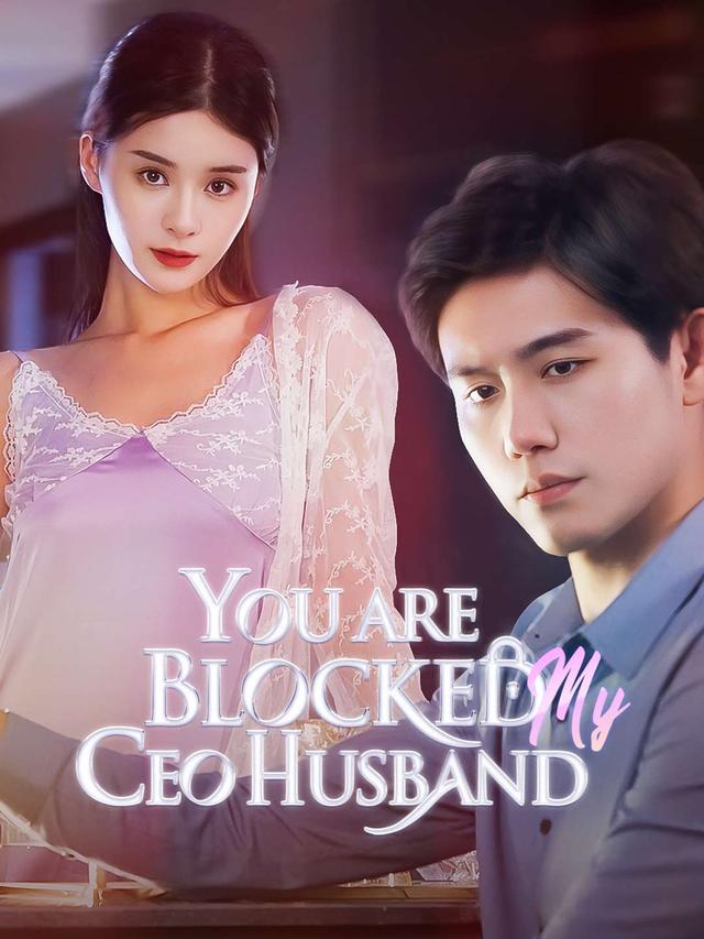 You Are Blocked, My CEO Husband