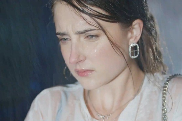 wie man ein silberfuchs zähmt