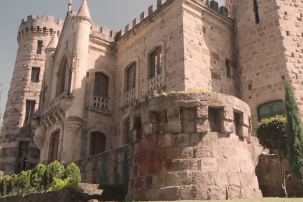 Destinada a mi alfa prohibido te contamos la historia completa