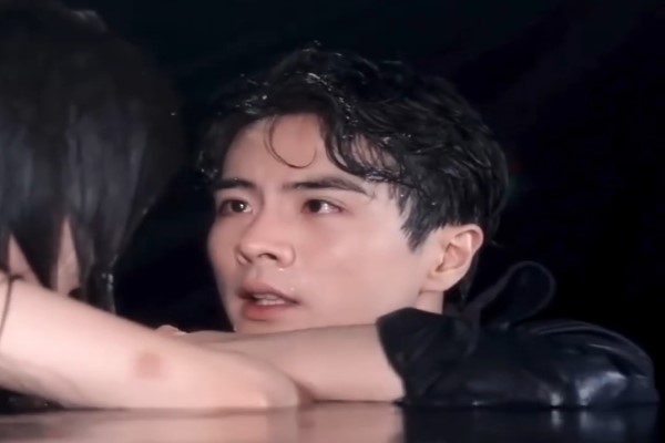 pasion inmortal renacer entre las cenizas español