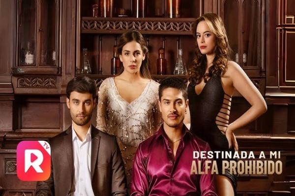 Destinada a mi Alfa Prohibido