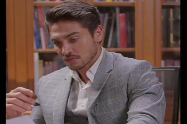 accidentalmente embarazada del alfa completa en español