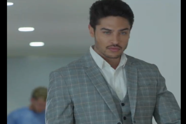 serie accidentalmente embarazada del alfa