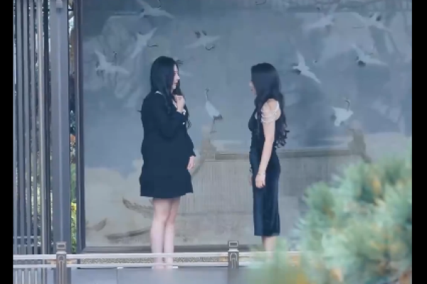 Cenizas y alas rotas