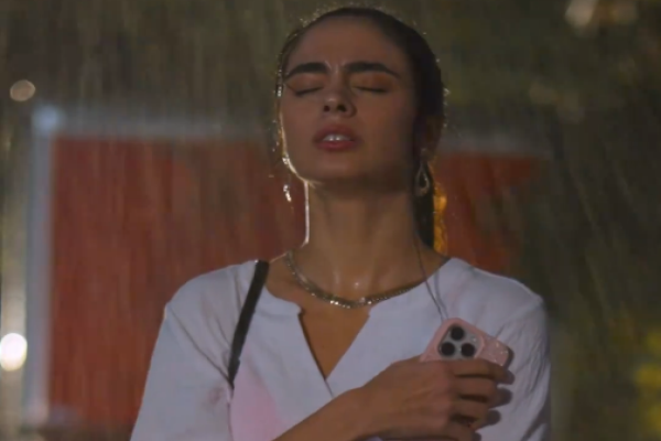 El Zorro Plateado Personaje Principal