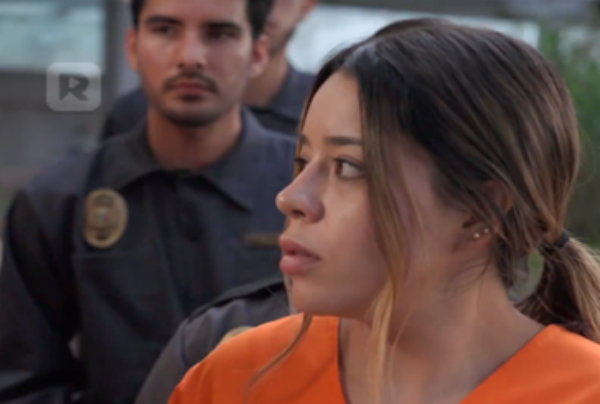 La niñera exconvicta y el padre millonario en español  dailymotion