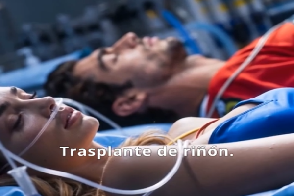El Hielo Bajo Su Nombre en español