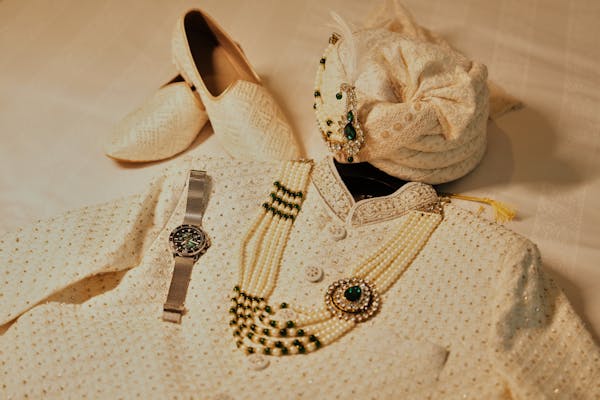 How To Train An Alpha Novel PDF Free Download