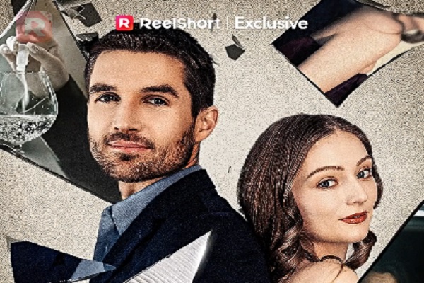 Alternative To Flash Marriage With The Secret Heiress