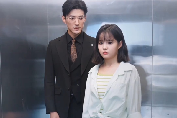 CEO's Wife Works as a Janitor cast Bonnie and Theo