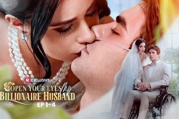 Marry A Disability Billionaire For Money Movie