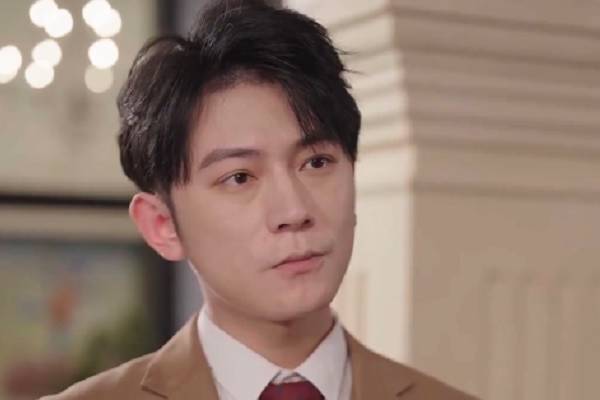 My Pregnant Wife Is Not a Mistress Cast Darcy