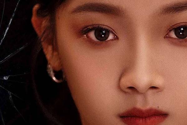 Retaliation of the Mother in Law Cast