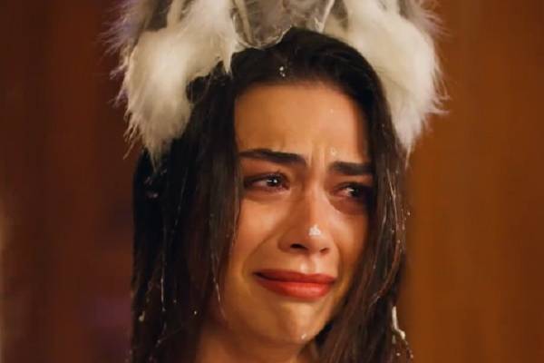 Claimed By The Alpha I Hate Movie Plots