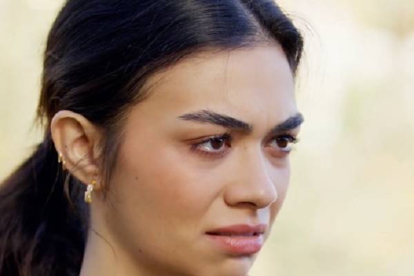 Claimed By The Alpha I Hate Vertical Drama Backstory