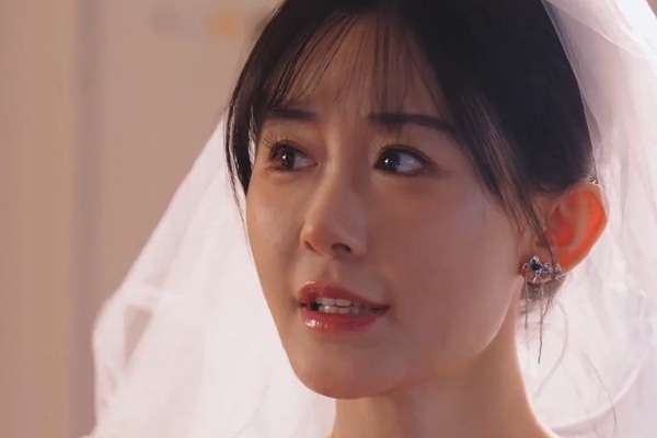 A Destiny Rewritten Cast Details