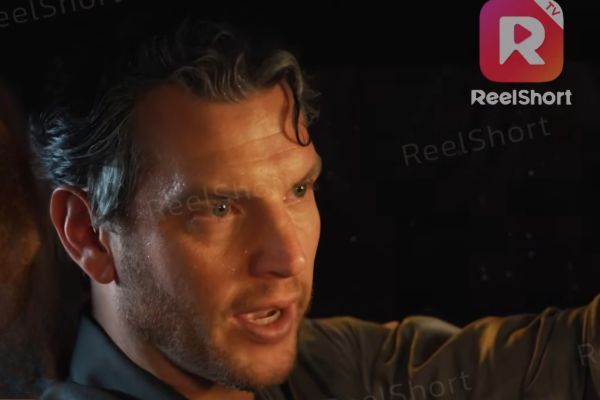 cara jinakkan rubah perak