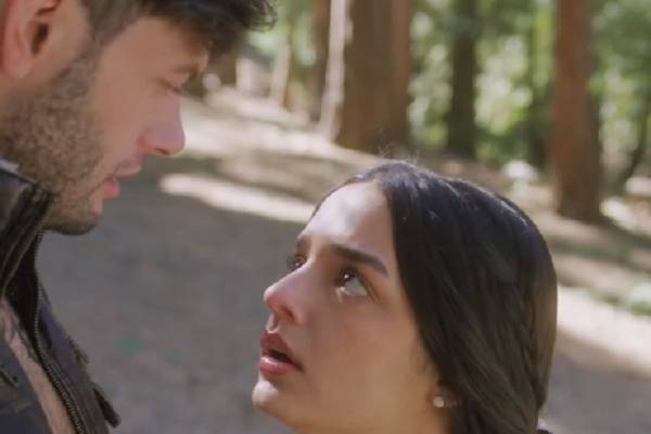 Fated To The Forbidden Alpha Shay free watch