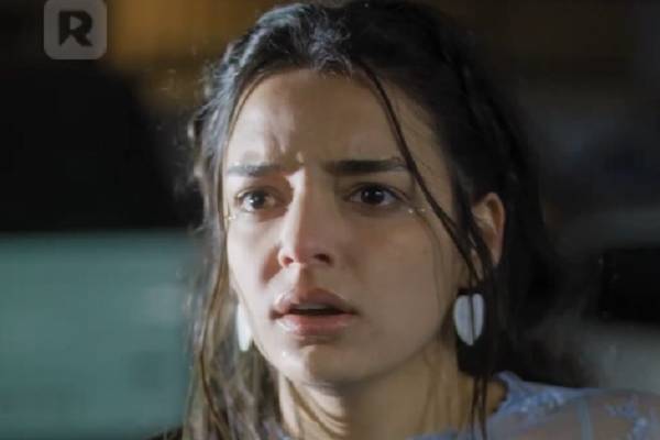 The Cursed Alpha’s Mate ReelShort