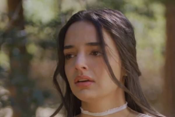 The Cursed Alphas Mate Dailymotion