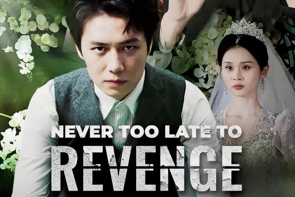 Never Too Late to Revenge Drama