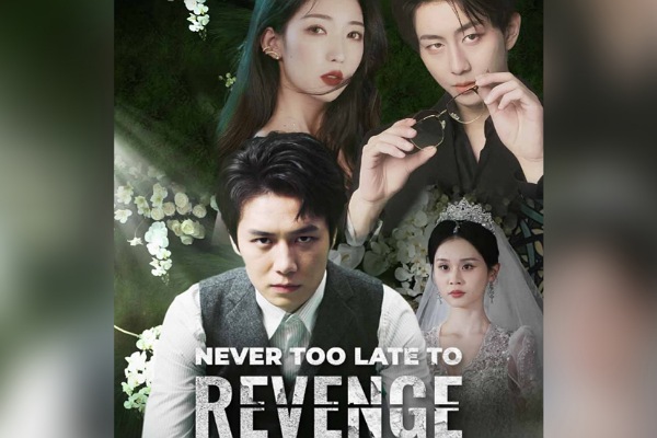 Never Too Late to Revenge Movie To Watch Online