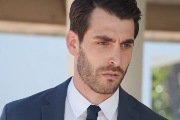 ceo’s sudden silver bride storyline