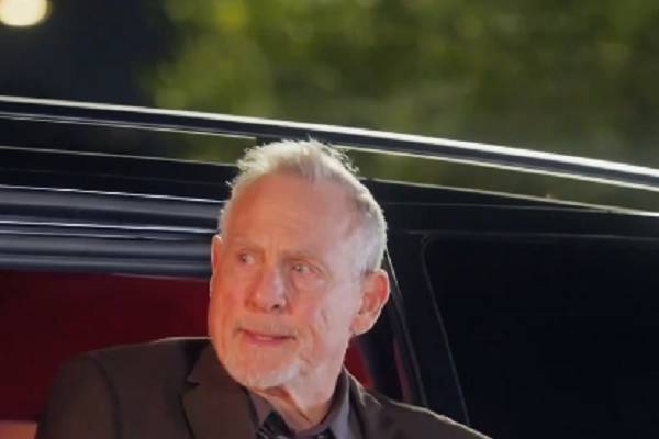 Accidental Triplets With The Billionaire Cast Allen Robert