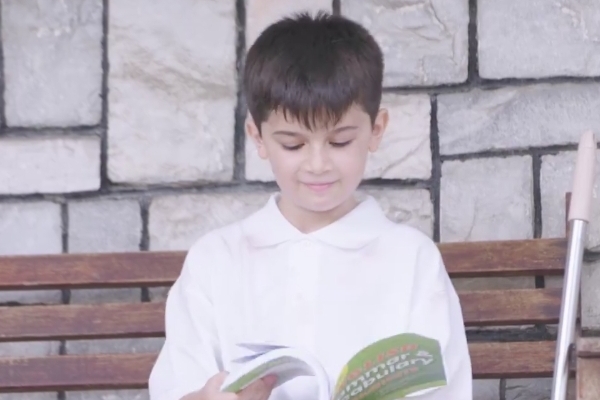 Hidden Companionship movie