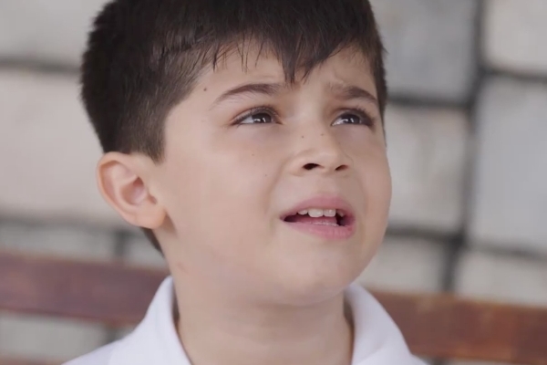 Hidden Companionship reddit