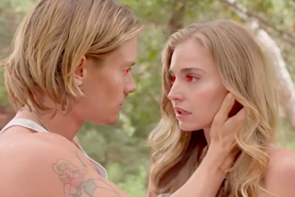 The Pack's Doctor Story