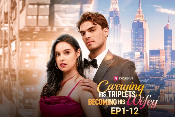 Carrying His Triplets Becoming His Wifey Review Introduction