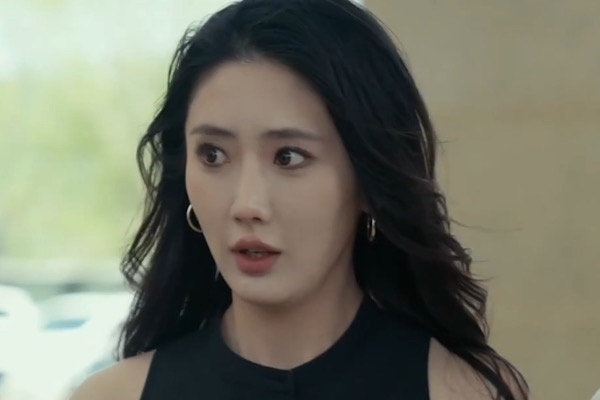 Invincible Bodyguard Cast