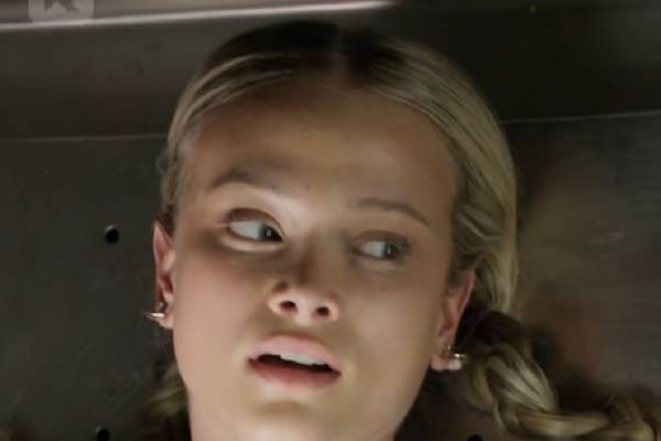 Dailymotion Fated To Find You